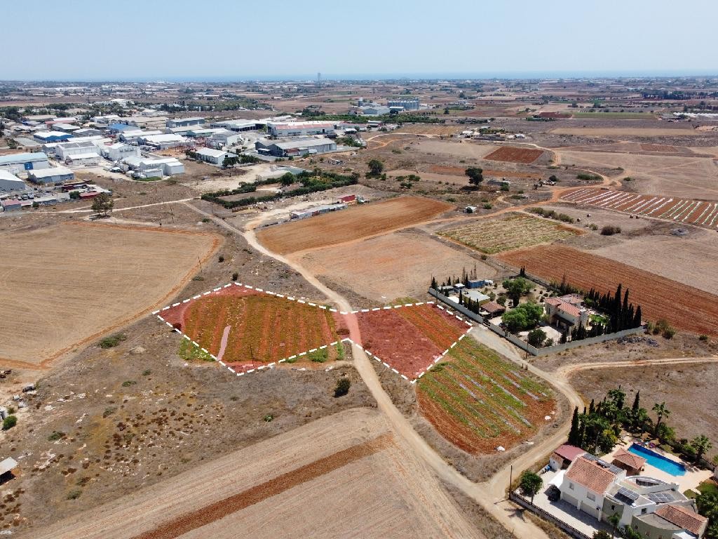 Field - Frenaros, Famagusta