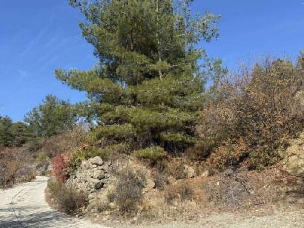 Kyperounta, Limassol Agricultural Field For Sale | WW31501