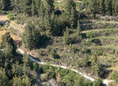 Kyperounta, Limassol Agricultural Field For Sale | WW31501