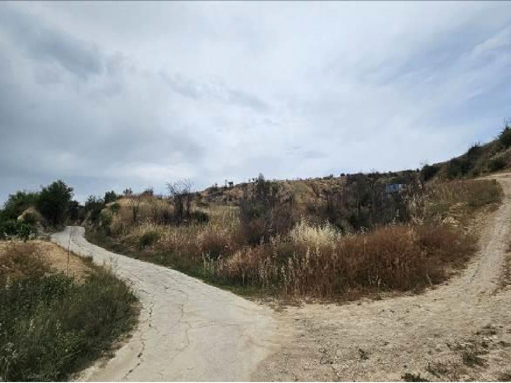 Psathi, Paphos Agricultural Field For Sale | WW31517