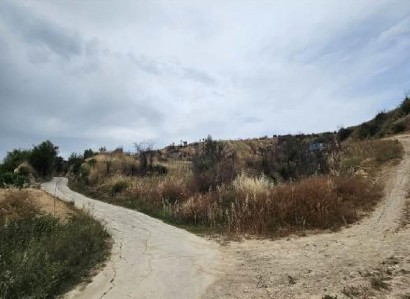 Psathi, Paphos Agricultural Field For Sale | WW31517