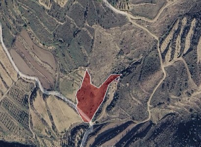 Psathi, Paphos Agricultural Field For Sale | WW31517