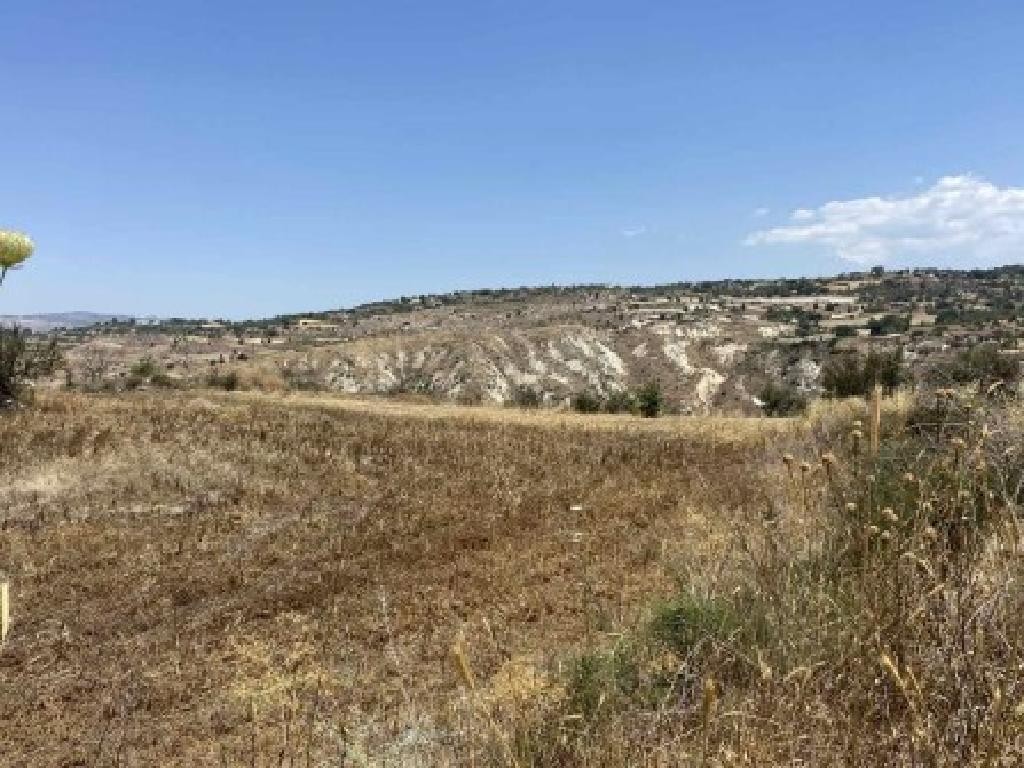 Drymou, Paphos Agricultural Field For Sale | WW31519