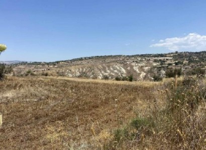 Drymou, Paphos Agricultural Field For Sale | WW31519