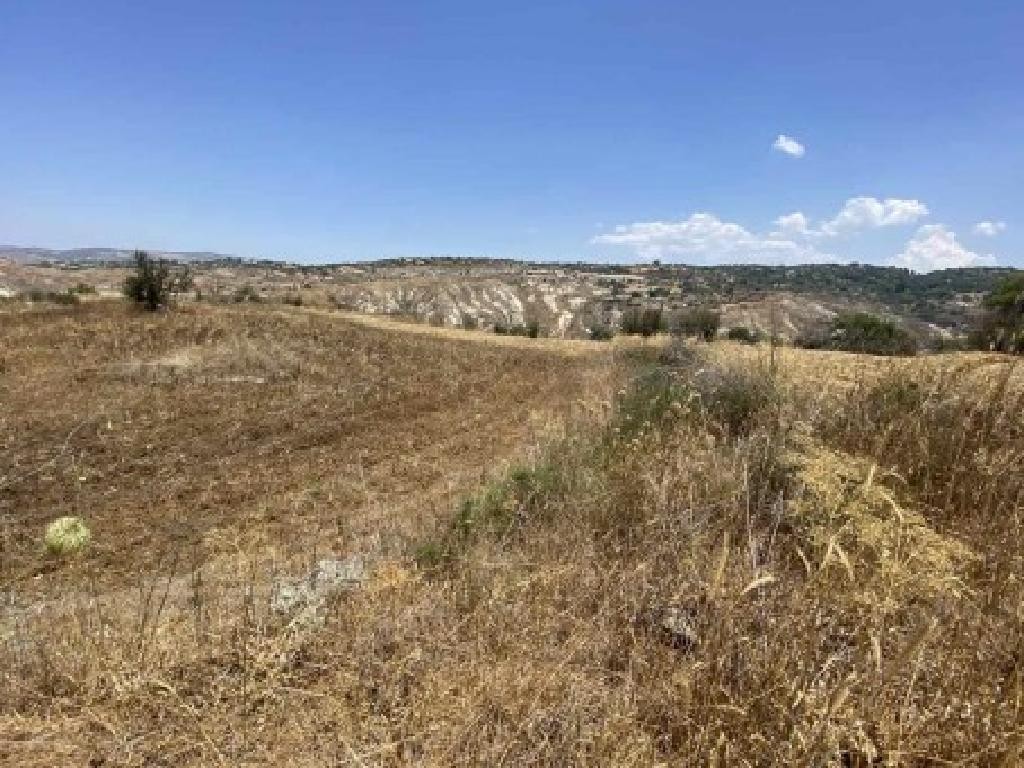 Field - Drymou, Paphos