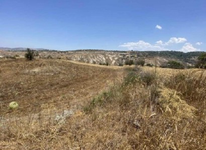 Drymou, Paphos Agricultural Field For Sale | WW31519