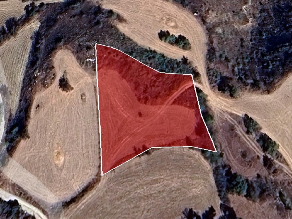 Field - Drymou, Paphos