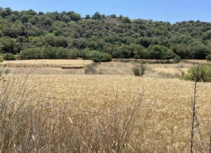 Drymou, Paphos Agricultural Field For Sale | WW31520
