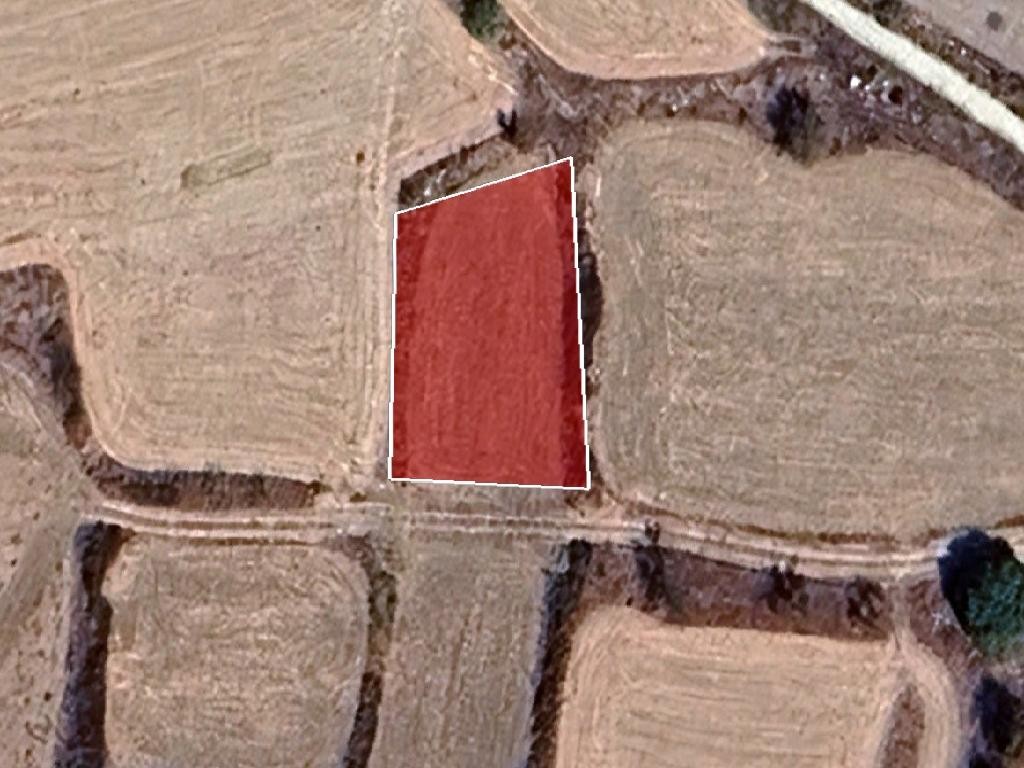 Field - Drymou, Paphos