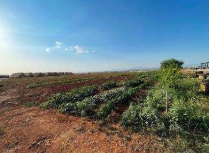 Nisou, Nicosia Agricultural Field For Sale | WW31531