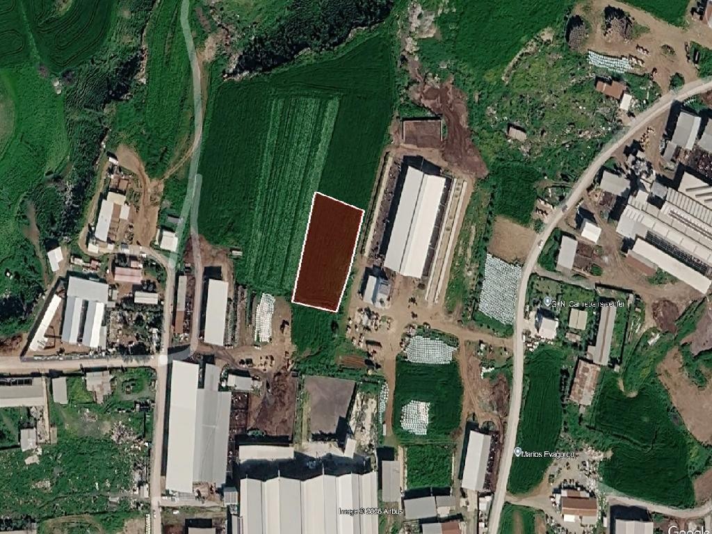 Field - Nisou, Nicosia