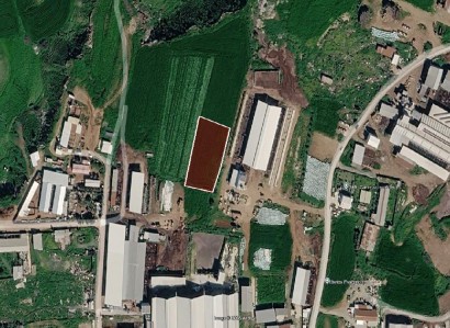Nisou, Nicosia Agricultural Field For Sale | WW31531