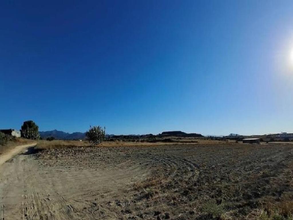 Ergates, Nicosia Agricultural Field For Sale | WW31537