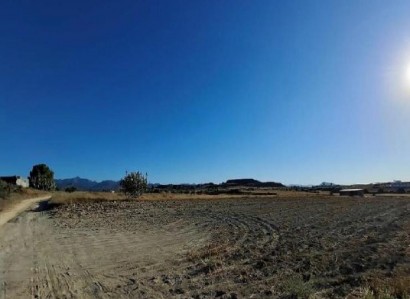 Ergates, Nicosia Agricultural Field For Sale | WW31537