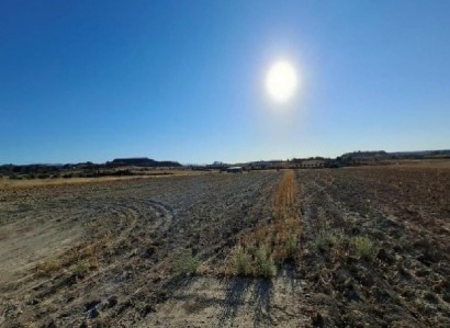 Ergates, Nicosia Agricultural Field For Sale | WW31537