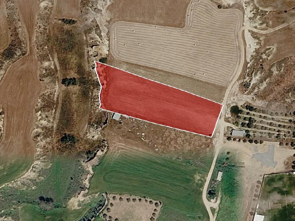Field - Ergates, Nicosia