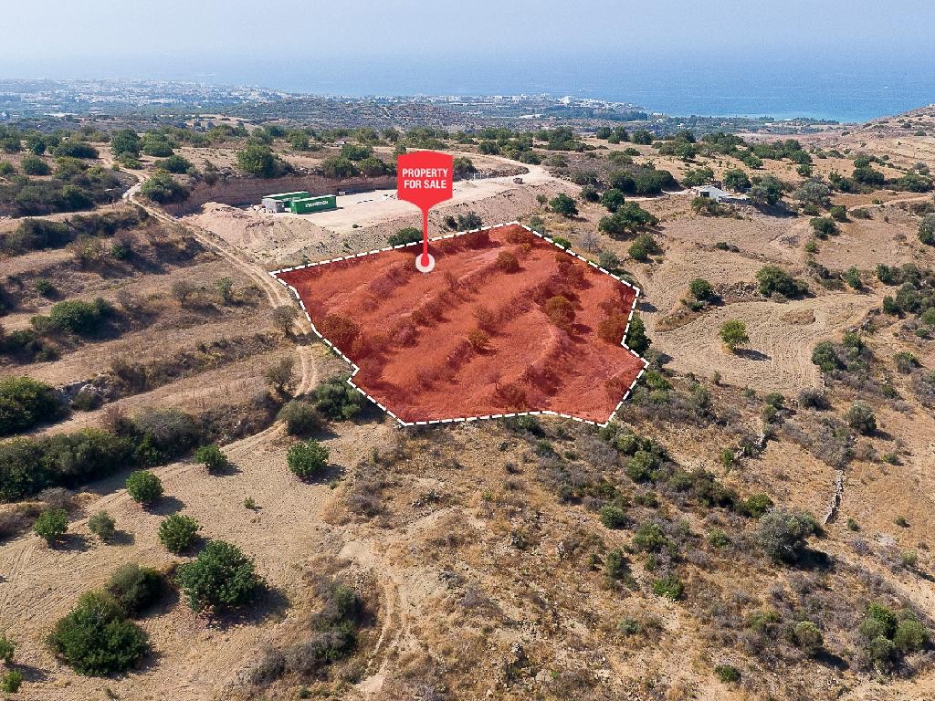 Koili, Paphos Agricultural Field For Sale | WW31542