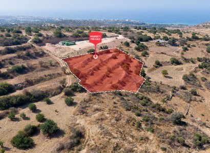 Koili, Paphos Agricultural Field For Sale | WW31542