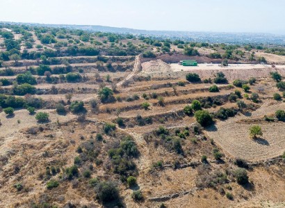 Koili, Paphos Agricultural Field For Sale | WW31542