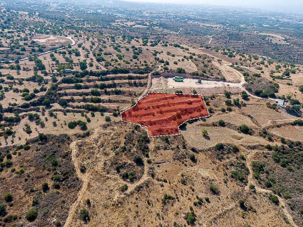 Field - Koili, Paphos
