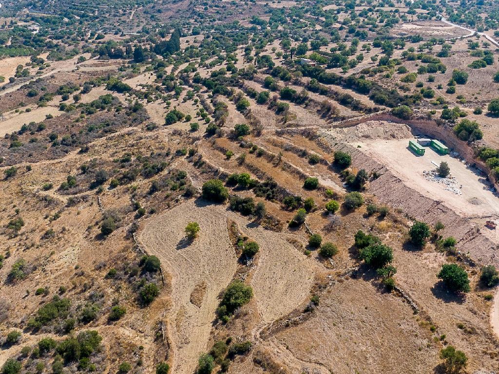 Field - Koili, Paphos