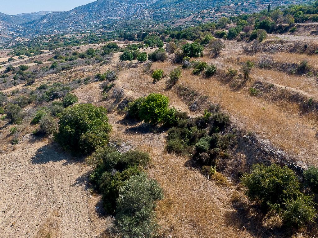 Field - Koili, Paphos