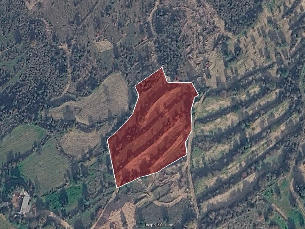 Field - Koili, Paphos