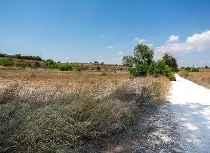 Frenaros, Famagusta Agricultural Field For Sale | WW31546