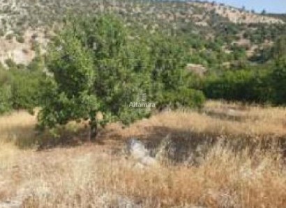 Peristerona, Paphos Agricultural Field For Sale | WW31548
