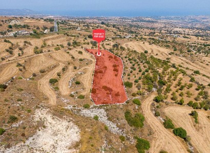 Kritou Tera, Paphos Agricultural Field For Sale | WW31549