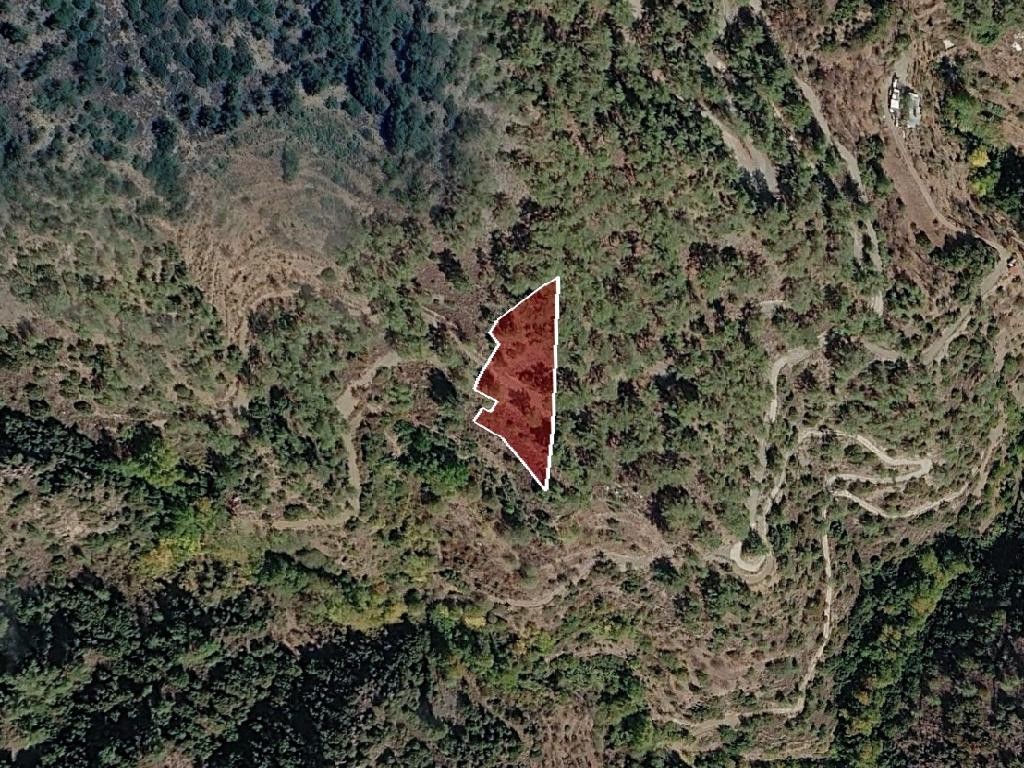 Field - Agios Theodoros, Limassol