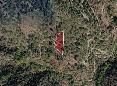 Ayios Theodhoros Agricultural Field For Sale | WW31567