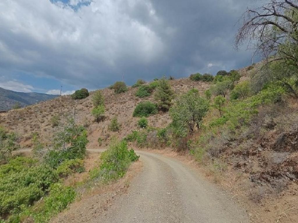 Foini, Limassol Agricultural Field For Sale | WW31568