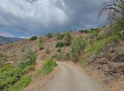 Foini, Limassol Agricultural Field For Sale | WW31568
