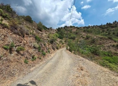 Foini, Limassol Agricultural Field For Sale | WW31568