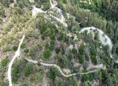 Foini, Limassol Agricultural Field For Sale | WW31568