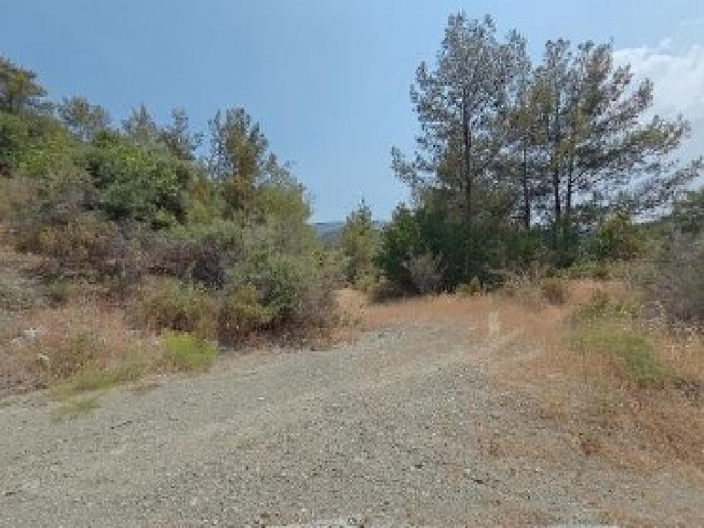 Two fields - Foini, Limassol