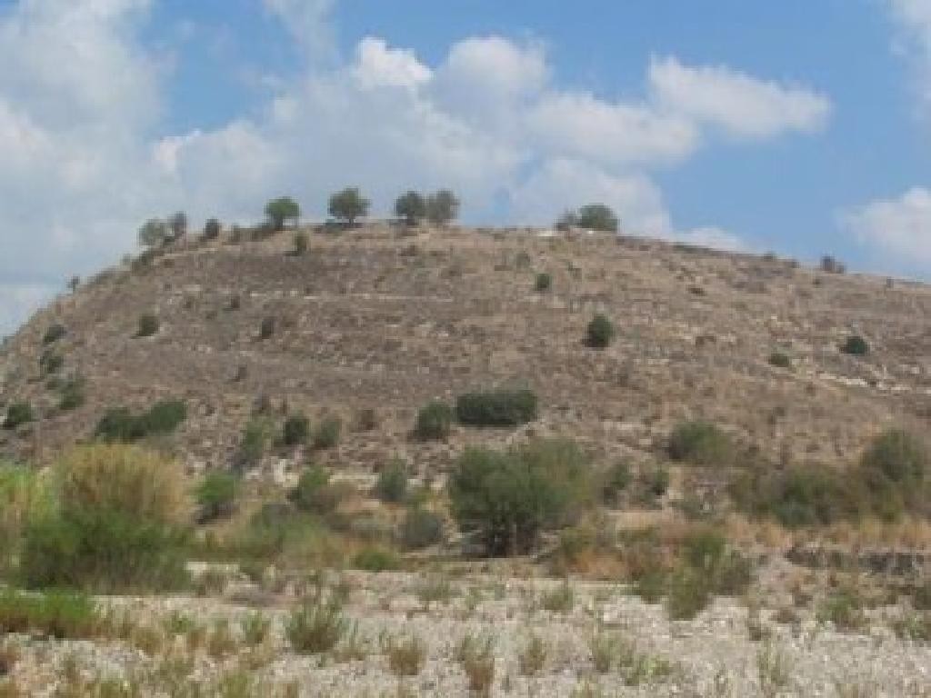 Choletria, Paphos Agricultural Field For Sale | WW31569