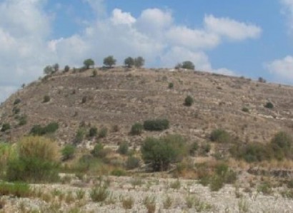 Choletria, Paphos Agricultural Field For Sale | WW31569