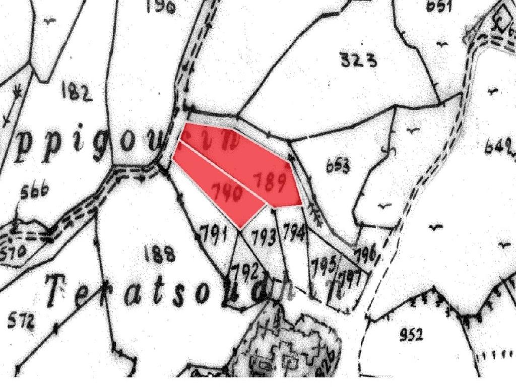 Field - Tsada, Paphos