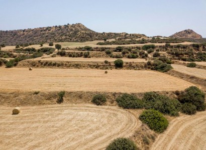 Pissouri, Limassol Industrial Field For Sale | AA35323