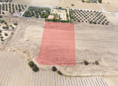 Ergates, Nicosia Residential Field For Sale | WW31577