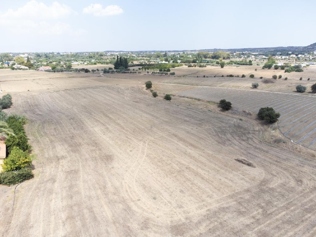 Field - Ergates, Nicosia