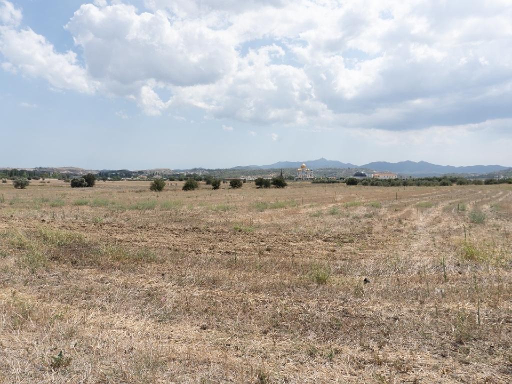 Field - Ergates, Nicosia