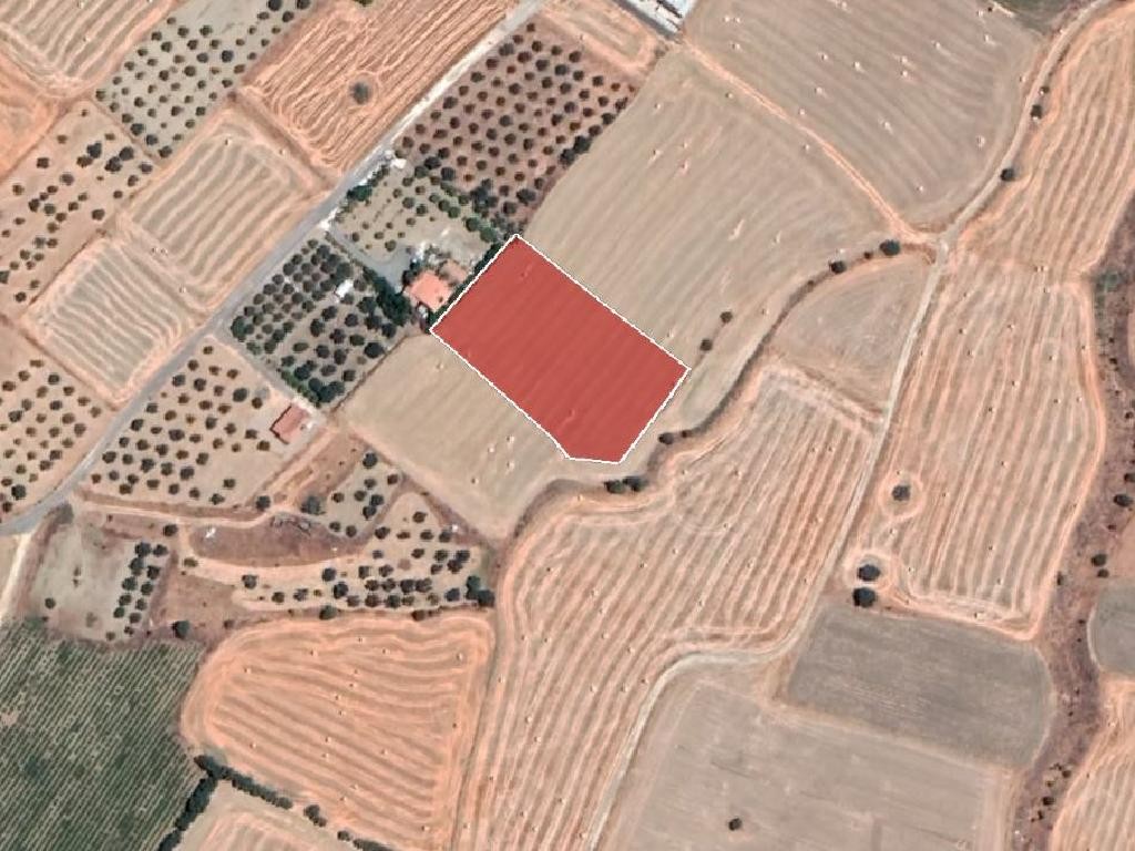 Field - Ergates, Nicosia