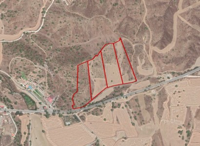 Kato Koutrafas Agricultural Field For Sale | WW31605