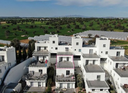 Mazotos, Larnaca Apartment For Sale | WW31617
