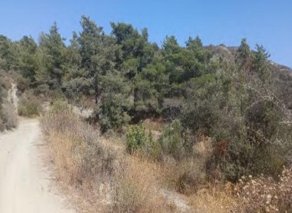 Kellaki, Limassol Agricultural Field For Sale | WW31631