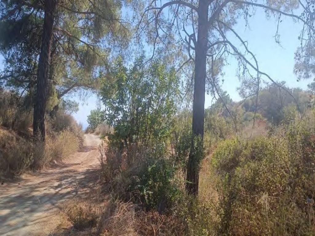 Field - Kellaki, Limassol