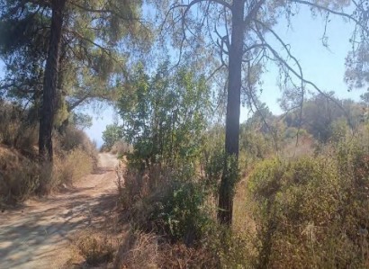 Kellaki, Limassol Agricultural Field For Sale | WW31631